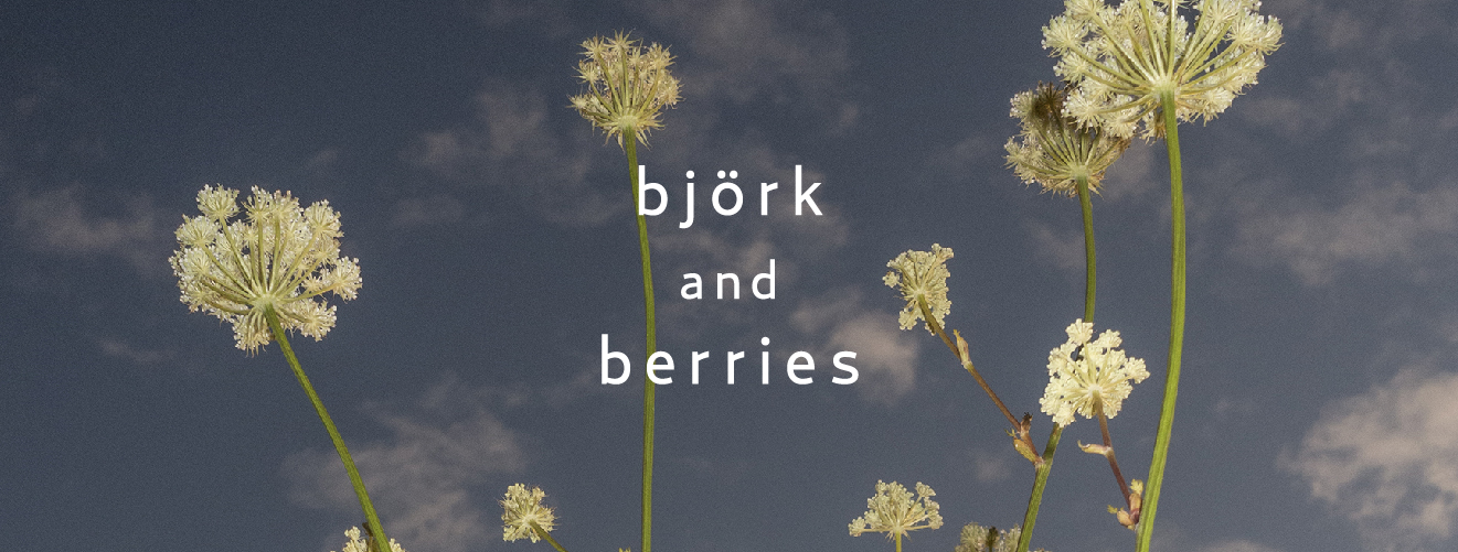 Björk & Berries Row1 Banner1